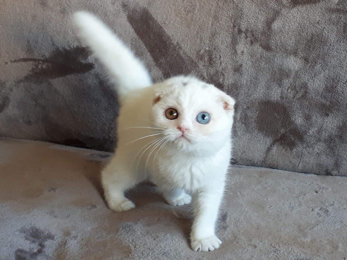 received_939395796440896